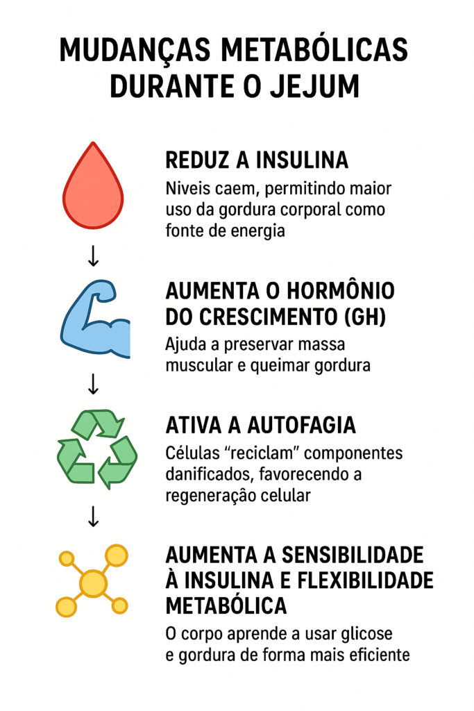 Mudanças metabólicas durante o jejum intermitente.